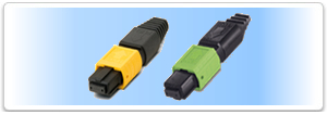 MPO Interconnect